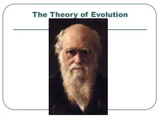 The Theory of Evolution