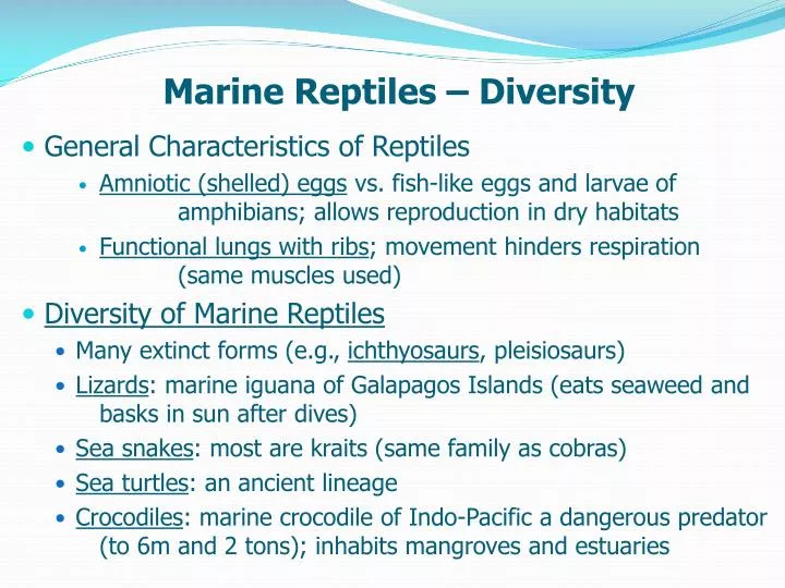 marine reptiles diversity
