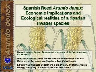 Spanish Reed Arundo donax : Economic implications and Ecological realities of a riparian invader species