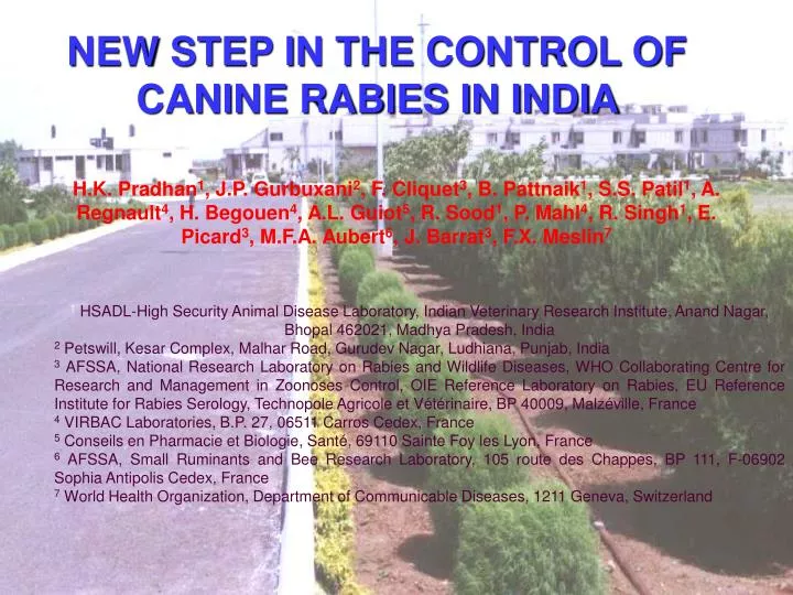 new step in the control of canine rabies in india