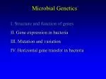 Microbial Genetics - slide 1