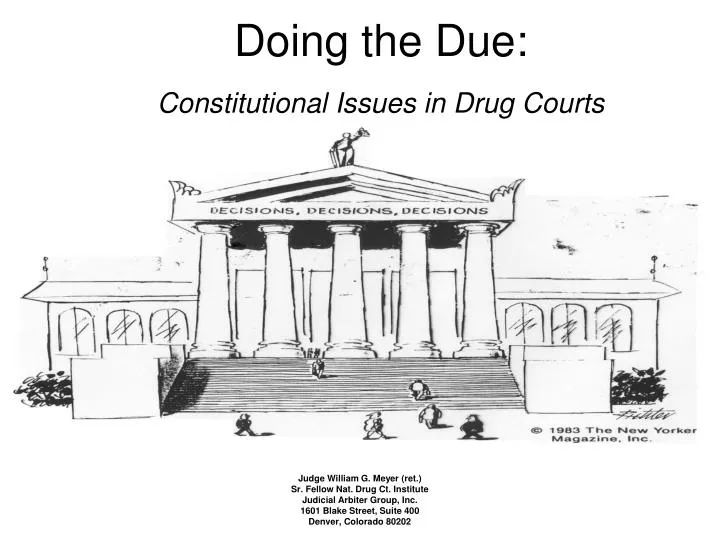 doing the due constitutional issues in drug courts