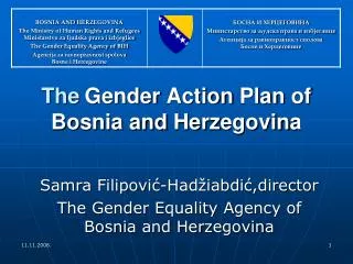 Samra Filipović-Hadžiabdić,dire c tor The Gender Equality Agency of Bosn ia and Her z egovin a
