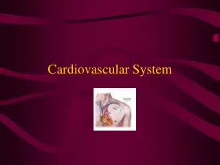 Cardiovascular System