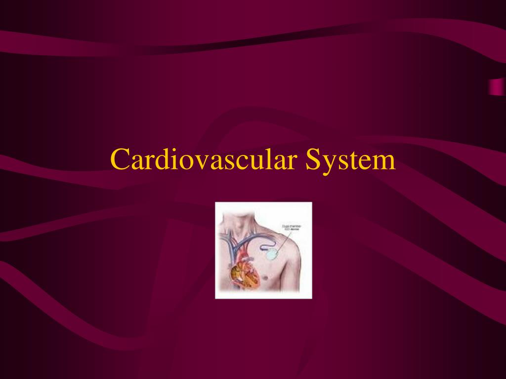 PPT - Cardiovascular System PowerPoint Presentation, free download - ID ...