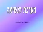 מערכת הנשימה - slide 1