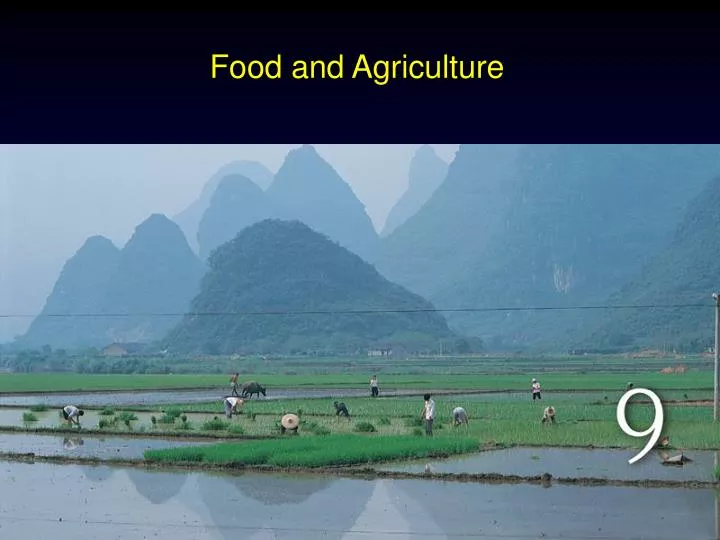 food and agriculture