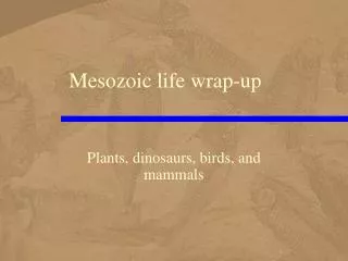 Mesozoic life wrap-up