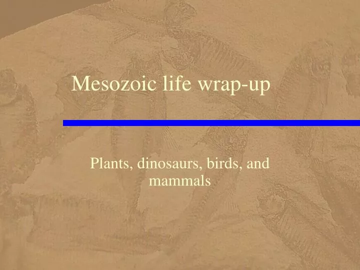 mesozoic life wrap up