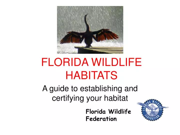 florida wildlife habitats
