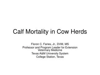 Calf Mortality in Cow Herds