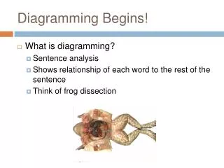 Diagramming Begins!