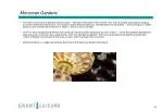 Moroccan Gardens - slide 1