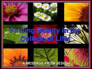 Finding Beauty in the Collage of Life!
