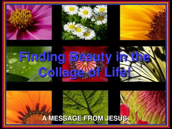 finding beauty in the collage of life