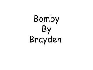Bomby By Brayden
