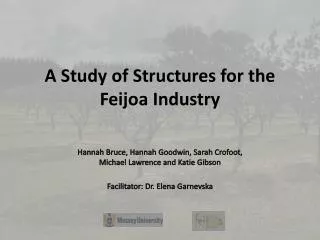 A Study of Structures for the Feijoa Industry