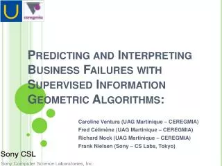 Predicting and Interpreting Business Failures with Supervised Information Geometric Algorithms :