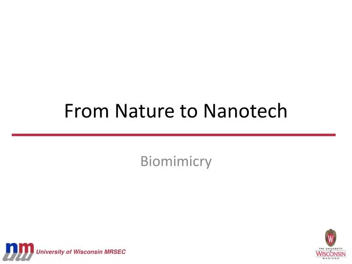 from nature to nanotech
