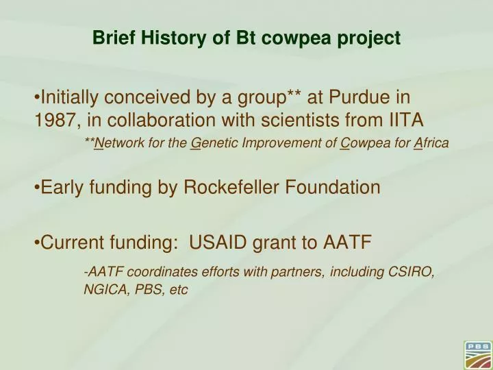 brief history of bt cowpea project