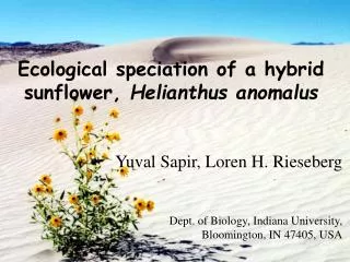 Ecological speciation of a hybrid sunflower, Helianthus anomalus Yuval Sapir, Loren H. Rieseberg Dept. of Biology, Indi