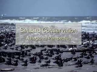 Seabird Conservation