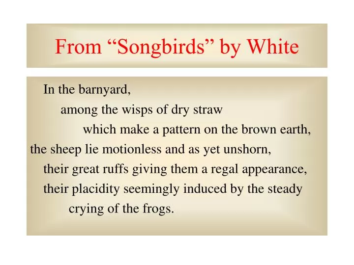 from songbirds by white