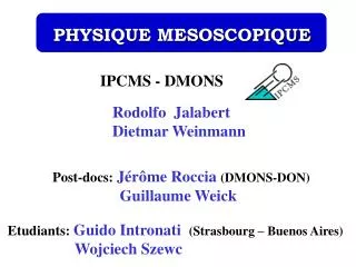 IPCMS - DMONS