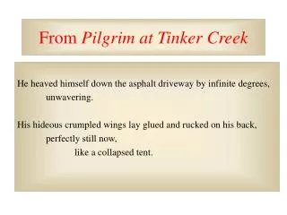 From Pilgrim at Tinker Creek