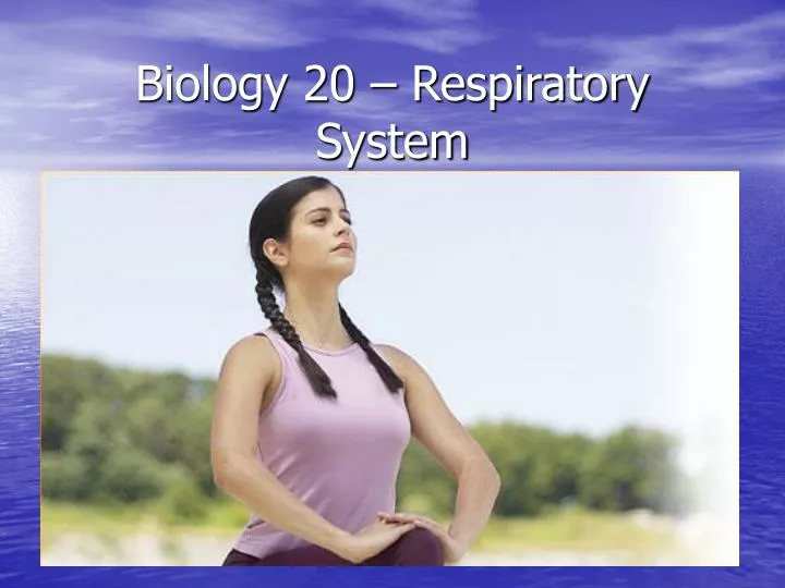 biology 20 respiratory system