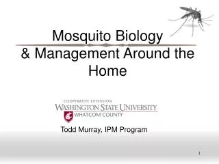 Mosquito Biology &amp; Management Around the Home