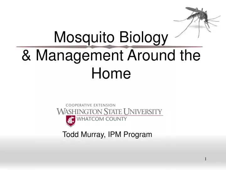mosquito biology management around the home