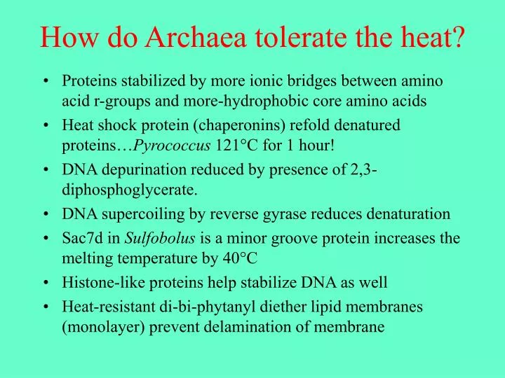 how do archaea tolerate the heat