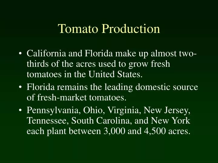 tomato production