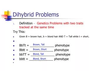 Dihybrid Problems