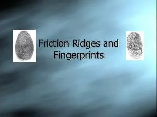 Friction Ridges and Fingerprints