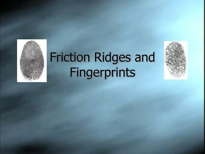 friction ridges and fingerprints
