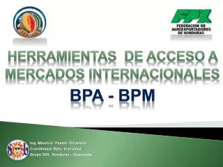 Herramientas de Acceso A Mercados Internacionales BPA - BPM