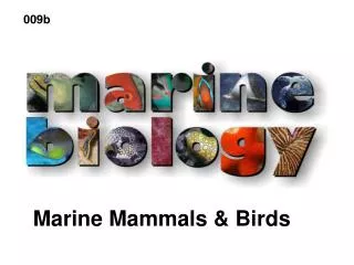 Marine Mammals &amp; Birds