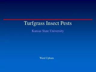 Turfgrass Insect Pests