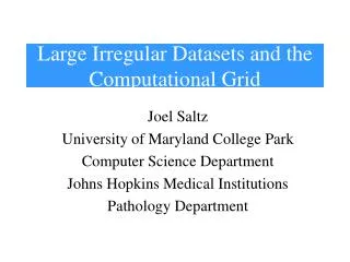 Large Irregular Datasets and the Computational Grid