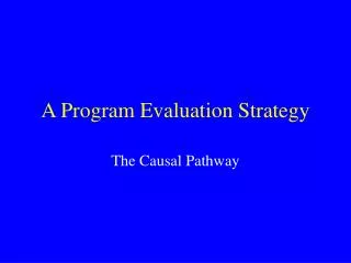 A Program Evaluation Strategy