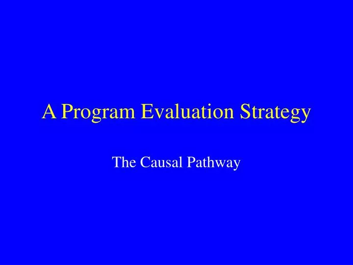 a program evaluation strategy