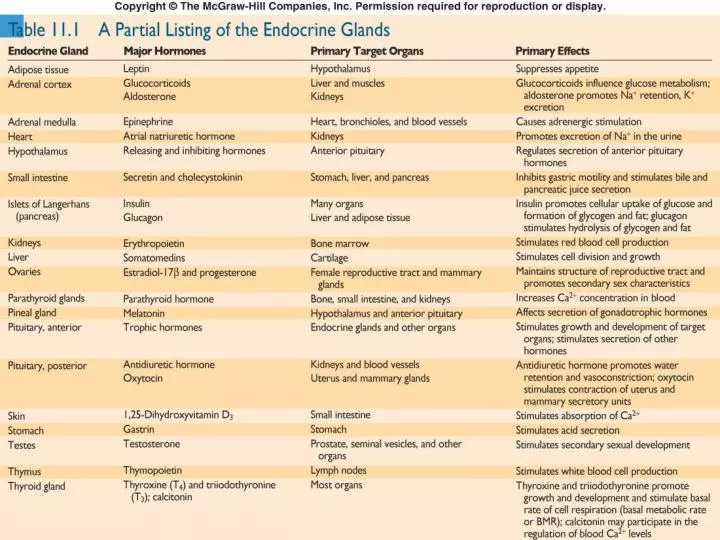 PPT Chemical Classification Of Hormones continued PowerPoint 