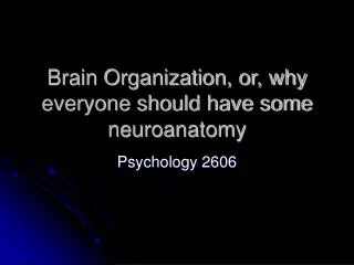 Brain Organization, or, why everyone should have some neuroanatomy