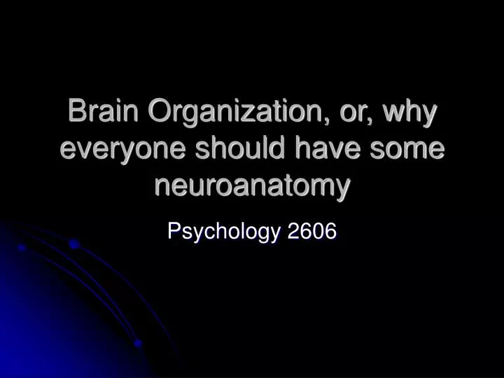 brain organization or why everyone should have some neuroanatomy
