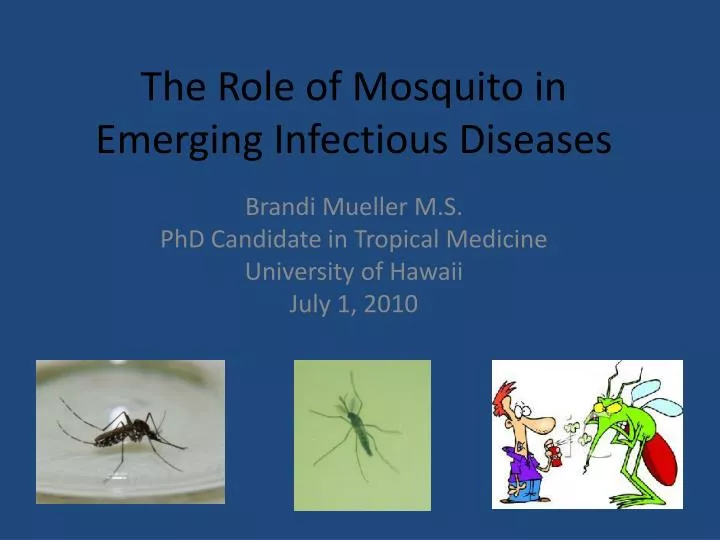 the role of mosquito in emerging i nfectious d iseases