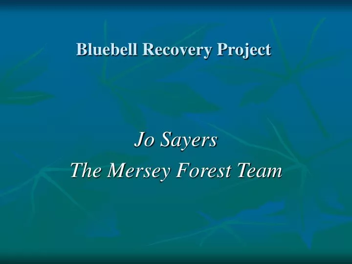 bluebell recovery project