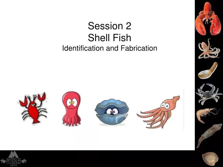 Fish and Shellfish Fabrication Methods — The Culinary Pro