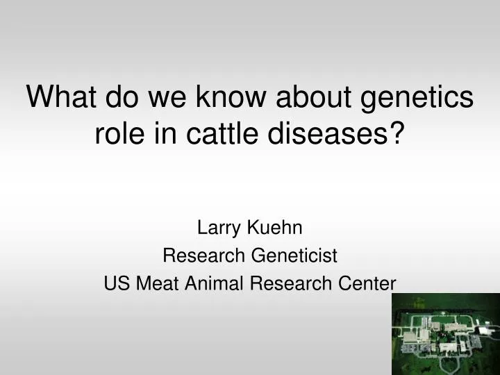 what do we know about genetics role in cattle diseases